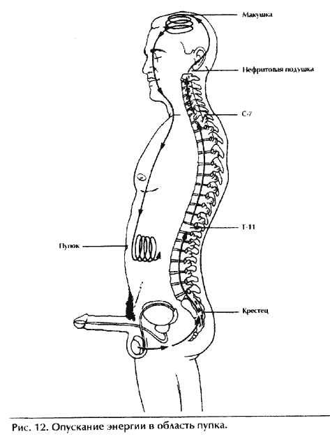 ����� ����������� ������. ������������ ����. �������� ���� �������