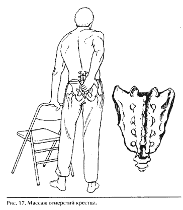 ����� ����������� ������. ������������ ����. �������� ���� �������