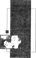 ����� ����� ���� - ����-����