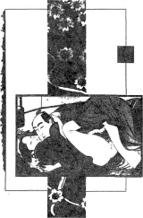 ����� ����� ���� - ����-����