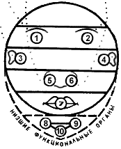 Блаватская Е. П. - Тайная доктрина синтез науки, религии и философии