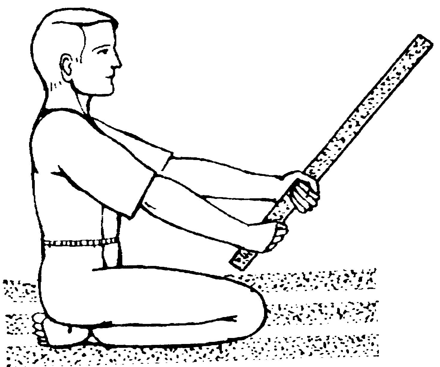 ����������  - ������������ � ���������