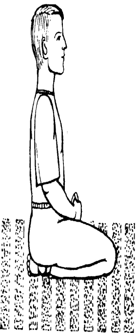 Жикаренцев - Концентрация И Медитация