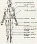 ������� - ���, ��� ������ ����. ��������� ���� � ��������