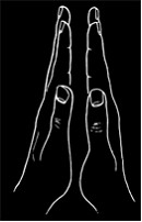 ������ - ��������� ����. ������������ ����������� �� ������������ ���������