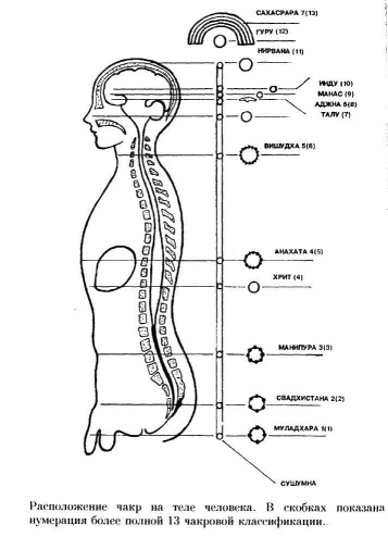 �������� �. �. - ������ ����� � ��� �������. ������ � �������� ������������ � ����������������