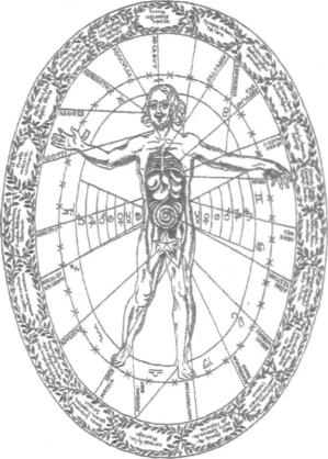 ������ �. �. - ��������������� ������ �������