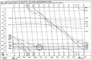 ������ �. �. - ��������������� ������ �������