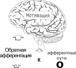 ������ �. �. - ��������������� ������ �������