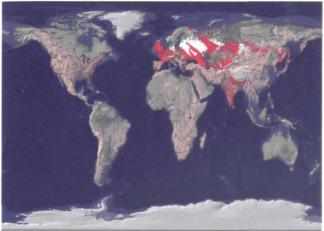 ������ �. �. - ��������������� ������ �������