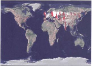 ������ �. �. - ��������������� ������ �������