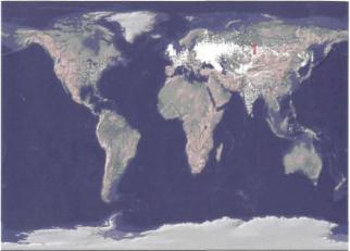 ������ �. �. - ��������������� ������ �������