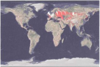 ������ �. �. - ��������������� ������ �������