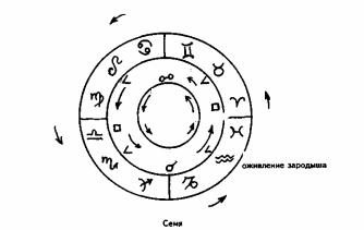 ����� �������� ������� ������� - ������� ����������. �������� � ���������� �������