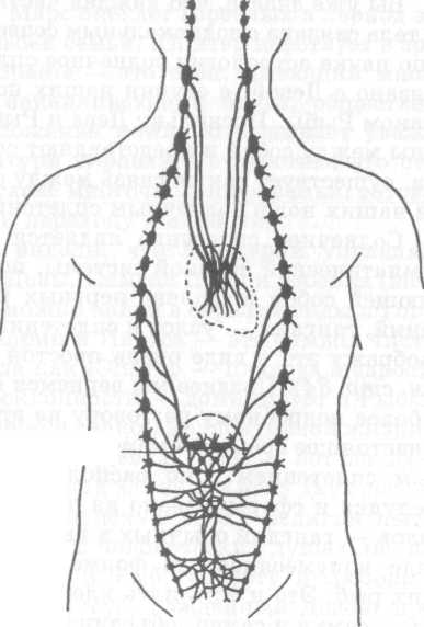 Омраам Микаэль Айванхов - Зодиак, ключ к пониманию человека и вселенной