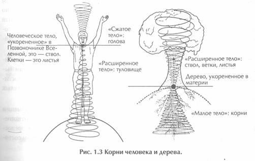 ��� ������, ��������� ���� -