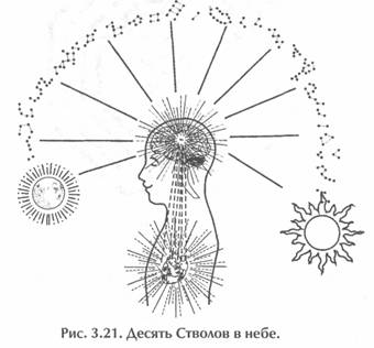 ��� ������, ��������� ���� -