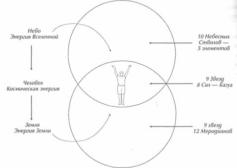 ��� ������, ��������� ���� -