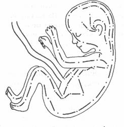 ��� ������, ��������� ���� -