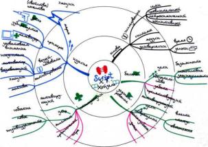 ������ -����������� ���������� ����. ����� ��������� � ���������������� ����