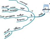 ������ -����������� ���������� ����. ����� ��������� � ���������������� ����