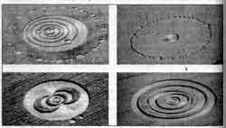 ������� �. - ���������? ��� ��� �����!!!