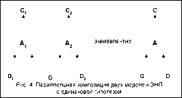 ������������� ����������� ������������ � ������� ����������� ���������