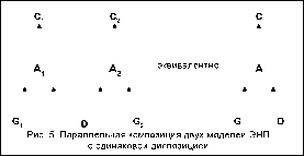 ������������� ����������� ������������ � ������� ����������� ���������