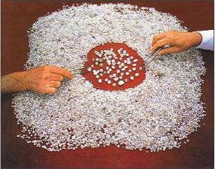 ������� ������� ��������� ����������