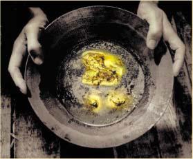 ��������� ������ -������ ��������