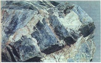 ������������ ����� ���