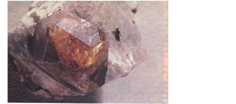 ��� ������ � ��� ���������