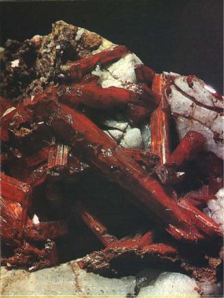 ��� ������ � ��� ���������