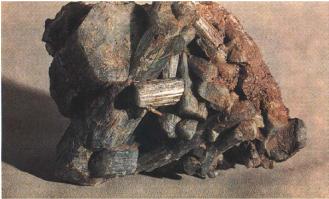 ������ ������