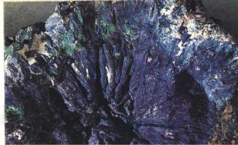 �������� ����������ѻ ������