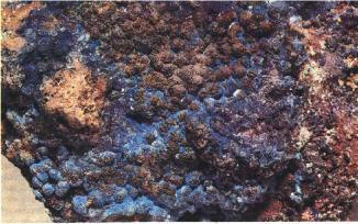 �������� ����������ѻ ������