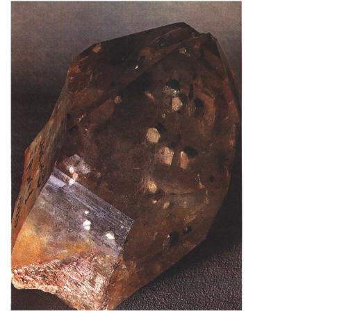 ����� �������� ��������