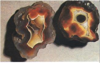 ����� �������� ��������