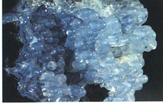 ����������� ����� � ������