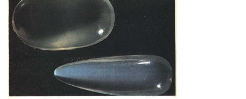 ������ ��������� ���� ������