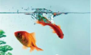 Карточный долг