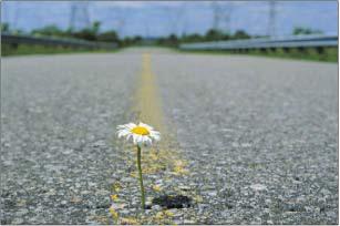 Бобрик П. - Электрический трейдинг